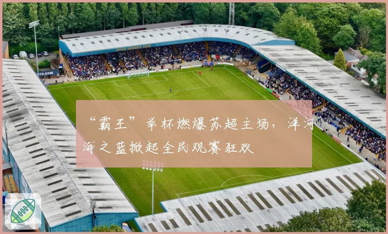 “霸王”举杯燃爆苏超主场，洋河海之蓝掀起全民观赛狂欢
