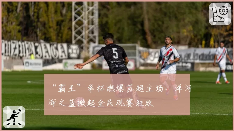 “霸王”举杯燃爆苏超主场，洋河海之蓝掀起全民观赛狂欢